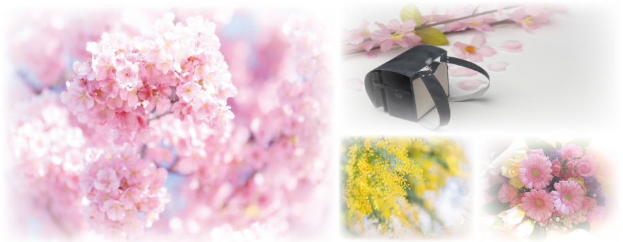 鎌倉の花屋 モモサワ生花店 鎌倉の花屋 モモサワ生花店